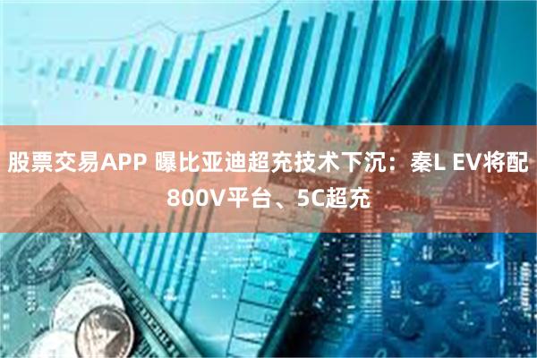 股票交易APP 曝比亚迪超充技术下沉：秦L EV将配800V平台、5C超充