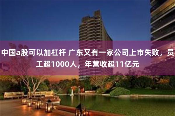 中国a股可以加杠杆 广东又有一家公司上市失败，员工超1000人，年营收超11亿元