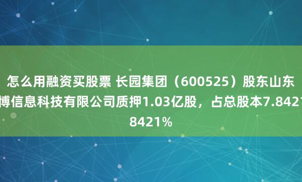 怎么用融资买股票 长园集团（600525）股东山东至博信息科技有限公司质押1.03亿股，占总股本7.8421%