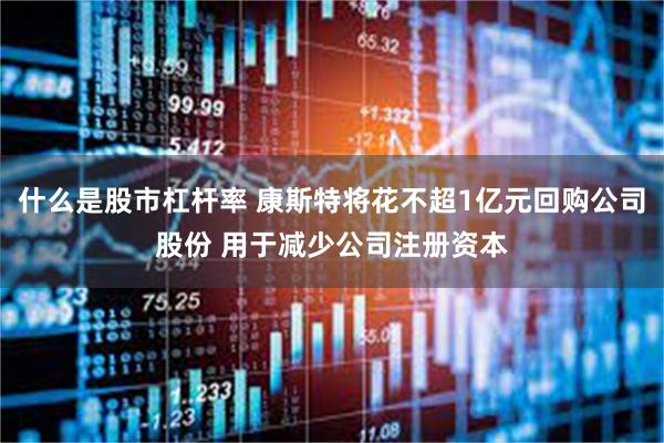 什么是股市杠杆率 康斯特将花不超1亿元回购公司股份 用于减少公司注册资本