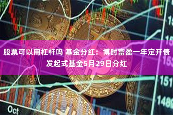 股票可以用杠杆吗 基金分红：博时富盈一年定开债发起式基金5月29日分红